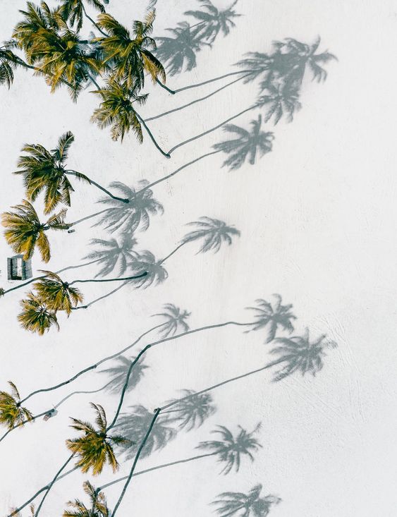 Elle~Maldives